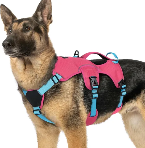 Vista 58 de rabbitgoo Arnés de perro a prueba de escape para pequeños, sin tirones con Negro