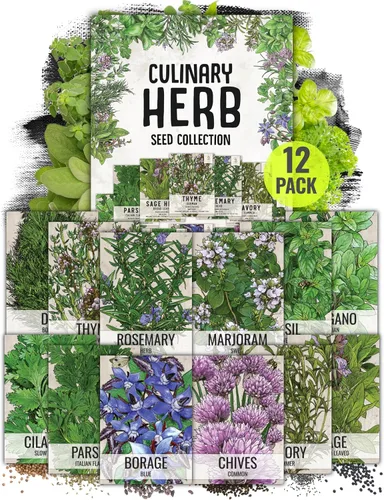Vista 9 de Seed Needs, Colección de paquetes de semillas de hierbas italianas (5 variedades individuales de semillas para plantar) sin OMG y sin tratar