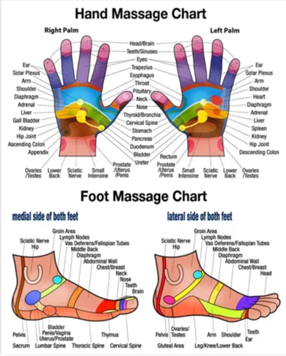 Vista 7 de Reflexology - Masajeador tailandés tradicional de madera para cuerpo completo, gancho para espalda, spa, cara, terapia Gua Sha, herramienta