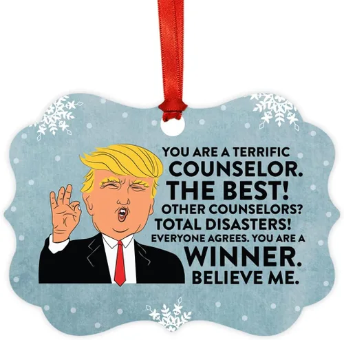 Vista 47 de Andaz Press Presidente Donald Trump Fancy Frame Recuerdo Adorno de Navidad Regalo de broma Ejecutivo de Cuenta, 1 paquete, Divertidas Ideas