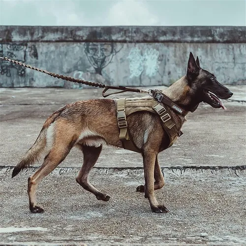 Vista 8 de Chaleco para perro de servicio táctico, excelente Elite Spanker. Chaleco para entrenar, cazar, con sistema Molle, de nylon, resistente al agua.