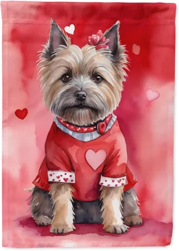 Vista 80 de Caroline's Treasures DAC5252GF Affenpinscher - Bandera de jardín con texto en inglés "My Valentine", bandera decorativa para patio exterior, patio