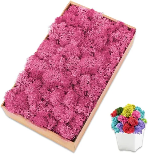 Vista 7 de Musgo de reno azul de 3.5 onzas, musgo preservado para plantas, decoración de musgo, musgo verde para manualidades, musgo para plantas en maceta