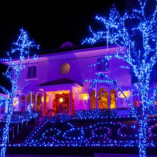 Vista 3 de JMEXSUSS Paquete de 2 tiras de 200 luces LED solares/2 paquetes de 100 luces LED color azul