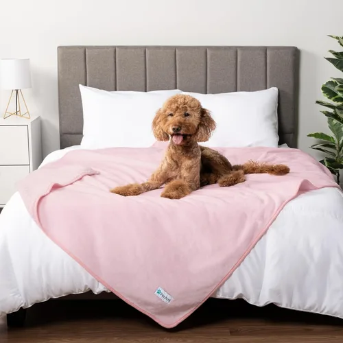 Vista 36 de PETAMI Manta impermeable de forro polar Sherpa para gatos y perros, color beige, talla S