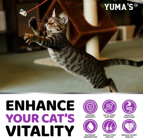 Vista 4 de Golosinas multivitamínicas para gatos - Vitaminas y suplementos para gatos - Taurina y lisina para gatos - Omega-3, glucosamina, arándano - Apoyo
