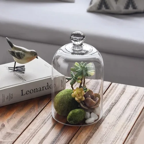 Vista 3 de KMwares Cúpula de cristal transparente, campana de campana para mesa, cubierta de plantas, alimentos (5.1 x 8.9 pulgadas)