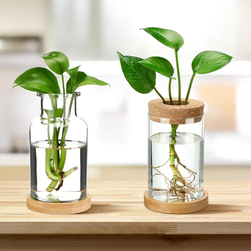 Vista 3 de Layhit 4 piezas de estaciones de propagación de plantas, jarrones de vidrio con tapa de madera y soporte de bambú para plantas hidropónicas, regalos