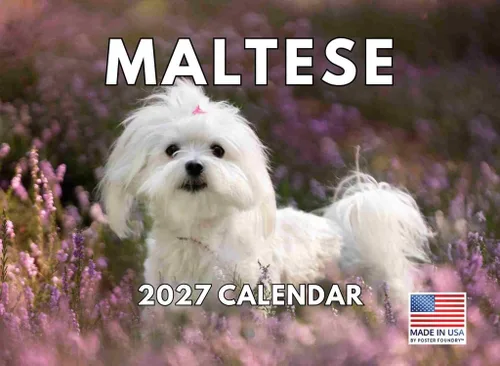 Vista 21 de Calendario mensual de pared Airedale Terrier Dog 2027