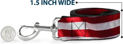 Vista 6 de Buckle-Down Correa para perro Bandera estadounidense vívido de cerca duradero elegante para paseos