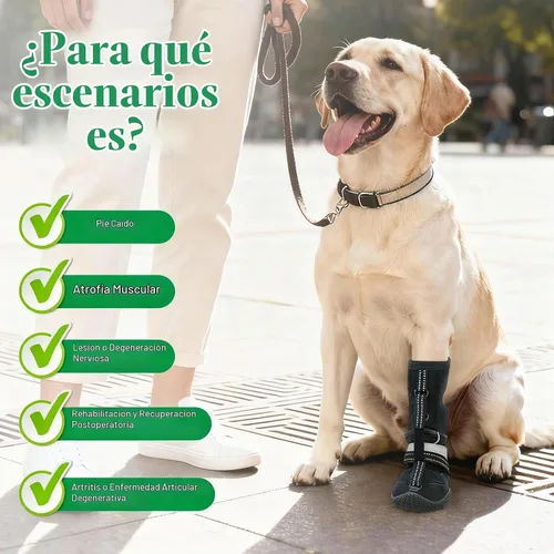 Vista 2 de Idepet - Correa de pie para perro (sin soporte para botas de nudillo), soporte para patas de botas de perro para soporte de piernas, zapatos