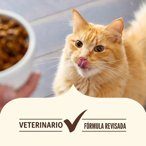 Vista 7 de Nutrish Comida seca para gatos, receta de pollo real y arroz integral, bolsa de 3 libras (Rachael Ray)