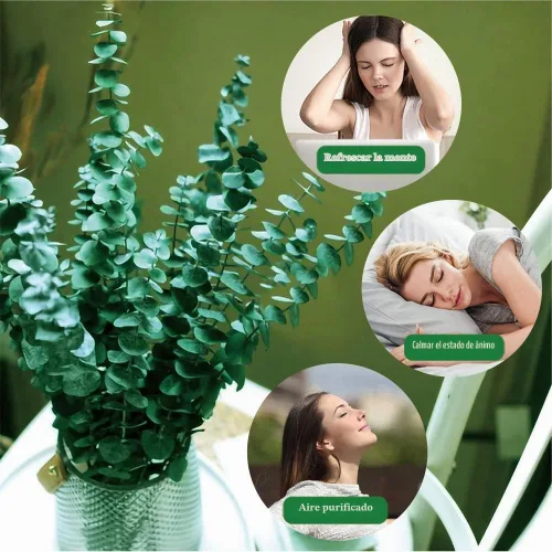 Vista 2 de 20 tallos de eucalipto seco preservado, ramas de eucalipto natural de 17 pulgadas para ducha, planta real para relleno de jarrón, arreglo de flores