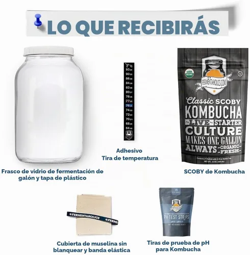 Vista 3 de Kombucha Essentials Kit – Incluye Kombucha Orgánica USDA SCOBY + tarro de fermentación de vidrio de 1 galón con cubierta transpirable + tiras de pH