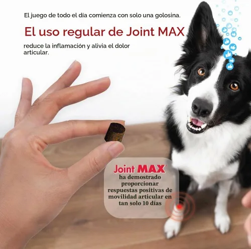 Vista 11 de PHS Joint Max Triple Strength (TS) Masticables suaves para perros, glucosamina, condroitina, MSM, cúrcuma, Omega 3, alivio del dolor de cadera