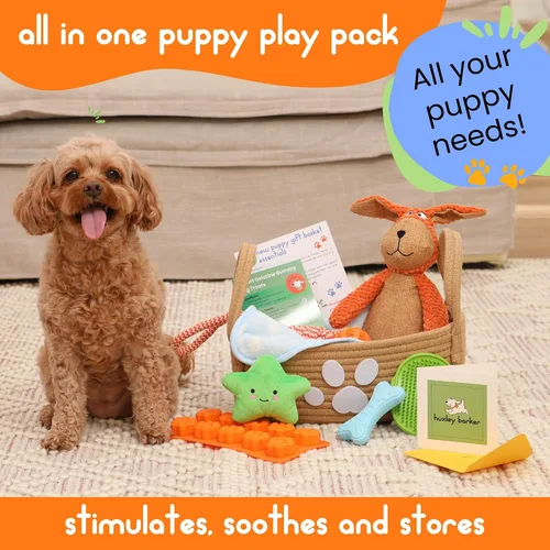 Vista 4 de Kit de iniciación para cachorros de alta calidad, cesta de regalo para cachorros con artículos esenciales, caja de juguetes, bandeja de golosinas
