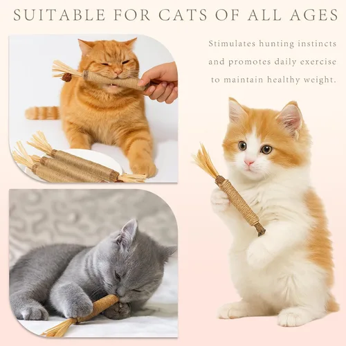 Vista 6 de Natural Silvervine - Juego de 3 palitos masticables para gatos, juguetes comestibles de limpieza de dientes de gatito, golosinas para el cuidado