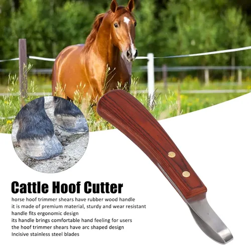 Vista 2 de Cuchillo de pezuña de 7.68 pulgadas, mango de madera de goma para herradores profesionales, corte eficiente de pezuñas evita lesiones en tareas