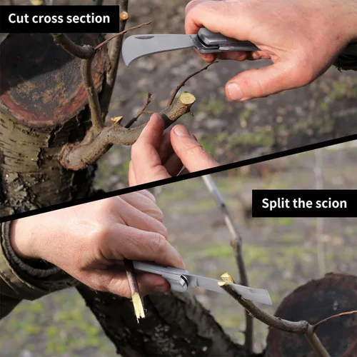 Vista 4 de Cuchillo de jardín y cuchillo de injerto Linsen-outdoors con doble hoja para uso zurdo y diestro, el diseño clásico con cómodo mango de palisandro