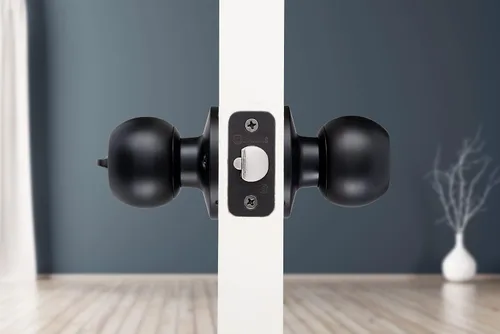 Vista 3 de BRINKS Pomo de Puerta de Entrada con Llave Transicional - Juego de Cerradura de Puerta Exterior Negro Mate, se Combina Perfectamente