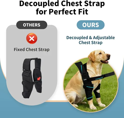 Vista 4 de Protector de codo para perro con correa de pecho desacoplada, transpirable, resistente a la abrasión, soporte de codo ajustable para higroma