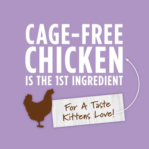 Vista 3 de Original Pollo, comida húmeda para gatos enlatada para gatitos, 3 onzas (caja de 24)