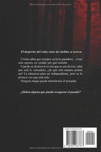 Vista 2 de Un reino olvidado Libro III - El reino entre las nieblas (Spanish Edition)