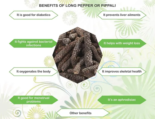 Vista 6 de AYURVEDASHREE Pimienta larga india entera prémium (Pippali) 3.53 oz - Auténtico pipli, thippili y pimienta negra larga