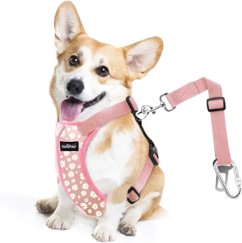 Vista 26 de VavoPaw cinturón de seguridad para perro, arnés de coche con hebilla ajustable para perro, cinturón de seguridad de nailon para mascotas, resistente