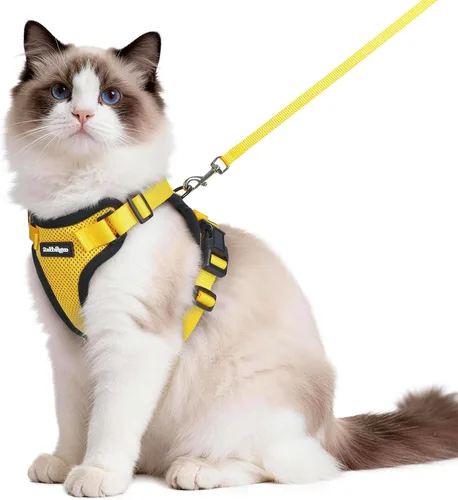Vista 53 de rabbitgoo Cat Harness and Leash Set, Escape Proof Vest, XXS, Berry Pounce Soft Breathable Mesh, No-choke Adjustable Fit, Snap Buckles, Sturdy