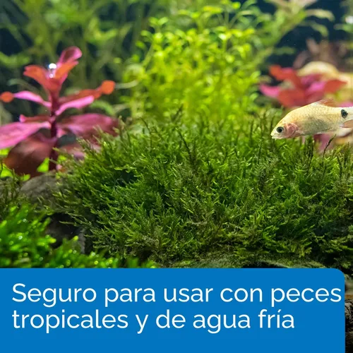 Vista 5 de API ROOT TABS - Fertilizante para plantas de acuario de agua dulce, 0.4 onzas, caja de 10