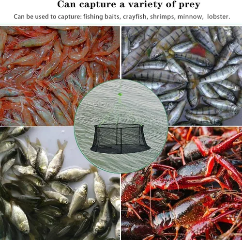 Vista 6 de Drasry Fishing Net Trap for Bait Minnow Shrimp Crayfish Foldable Fish Crawdad Lobsters Cast Net Collapsible