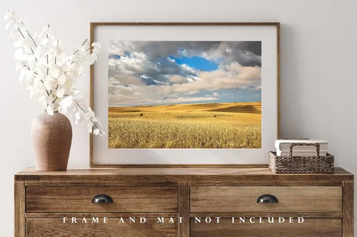 Vista 4 de Impresión de fotografía campestre (no enmarcada) Imagen de campos de maíz en terrazas doradas bajo el cielo de ensueño en el día de otoño en Iowa