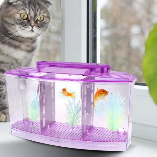Vista 2 de Acuario pequeño de acrílico de tres áreas, mini pecera, para Betta para peces pequeños (morado)