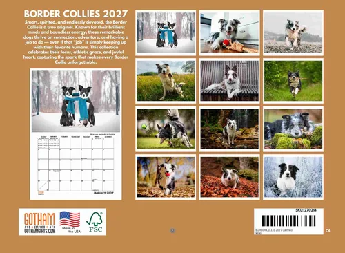 Vista 2 de Border Collie Calendario mensual de pared 2025 de 12 meses Fabricado en Estados Unidos