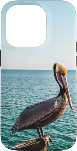 Vista 16 de iPhone 11 Pelican Case