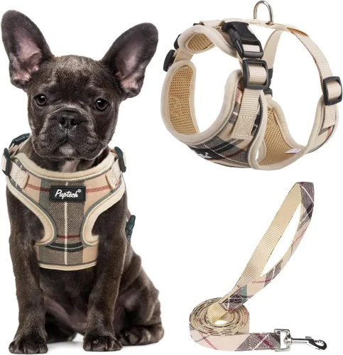 Vista 101 de PUPTECK Juego de arnés y correa de malla suave para perro, cachorro y gato, cómodo chaleco acolchado sin tirones, azul Pascua, S