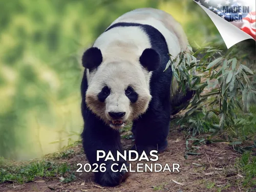 Vista 544 de Calendario de grises africanos 2025 2026 – Planificador mensual de pared de aves africanas – 12 x 18 pulgadas (abierto), calendario de pared