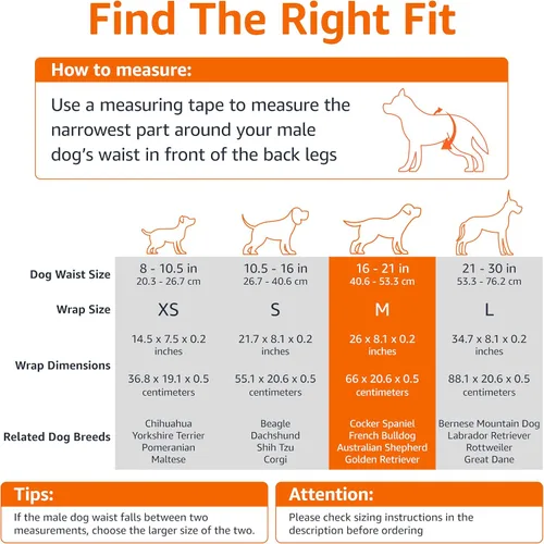 Vista 4 de Amazon Basics Pañales para perros machos, 30 unidades, medianos, ultra absorbentes, desechables, con ajuste seguro, a prueba de fugas y cómodos