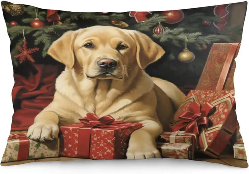 Vista 22 de Yellow Lab - Fundas de cojín de Navidad de 12 x 20 pulgadas, diseño de retrato de perro amarillo serio, labrador retriever, fundas de almohada
