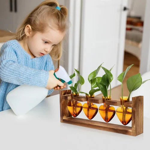 Vista 5 de Estaciones de propagación de plantas, kit de terrario de plantas de corazón, regalo para mujeres, amantes de las plantas, jarrones de vidrio Ámbar