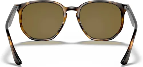 Vista 8 de Ray-Ban RB4306 - Gafas de sol irregulares para hombres y mujeres + paquete con kit de gafas de cortesía de diseñador iWear