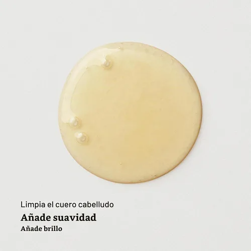 Vista 3 de AG Hair BALANCE - Recambio de champú sin sulfato de vinagre de sidra de manzana, 1 litro