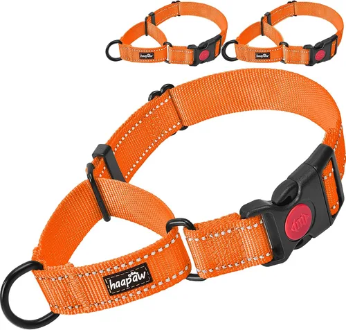 Vista 12 de haapaw Paquete de 2 collares de perro Martingale con hebilla de liberación rápida reflectantes para perros pequeños, medianos y grandes