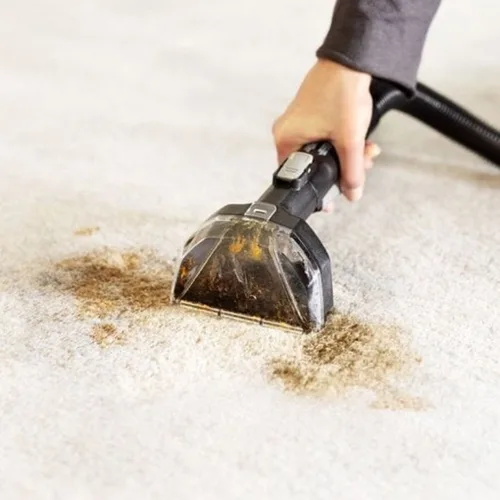 Vista 22 de Aspirador Bissell SPOTCLEAN 3697N