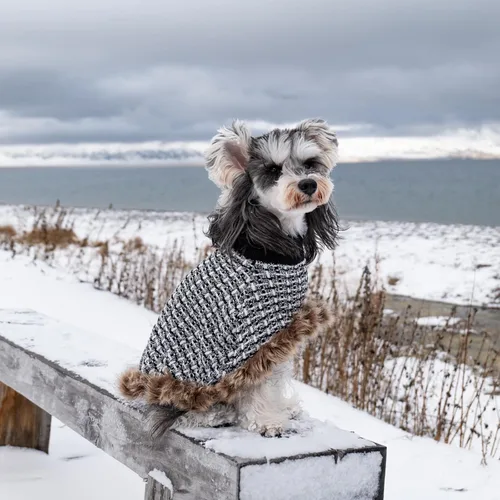 Vista 7 de Suéter para perro con capa, suéter de algodón perla para cachorros, ropa de punto para clima frío para perros pequeños, ropa clásica de cuello