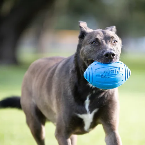 Vista 2 de Nerf juguete fútbol con sonido para perro, Sencillo, Azul