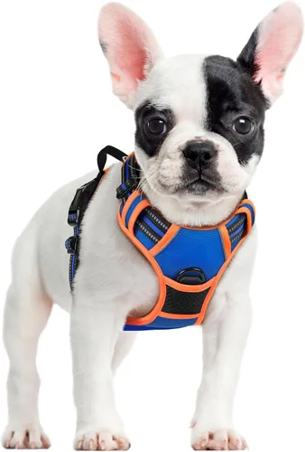 Vista 150 de Rabbitgoo - Arnés para perros sin tirón con 2 clips de correa, chaleco Oxford reflectante acolchado suave ajustable sin estrangulamiento