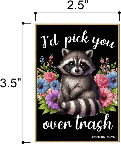 Vista 2 de Honey Dew Gifts, I'd Pick You Over Trash, 2.5 x 3.5 pulgadas, imanes para refrigerador, imanes decorativos, mamás de piel, decoración de mapache