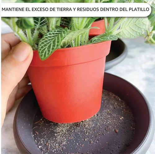 Vista 4 de Platillo para plantas, paquete de 6 bandejas de goteo, base de maceta, bandeja de drenaje de plástico resistente para plantas de interior y jardín